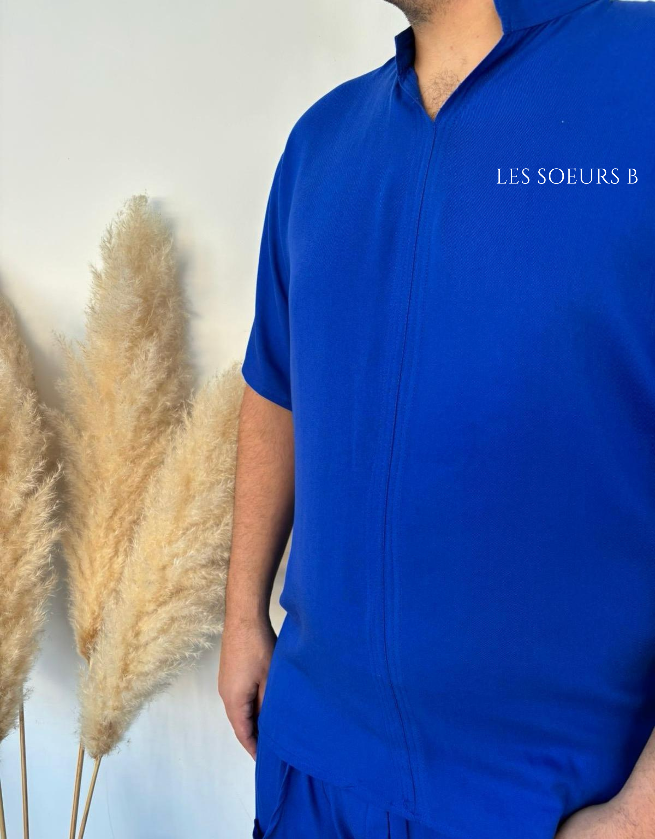 Jabador bleu roi - Réf : 4078